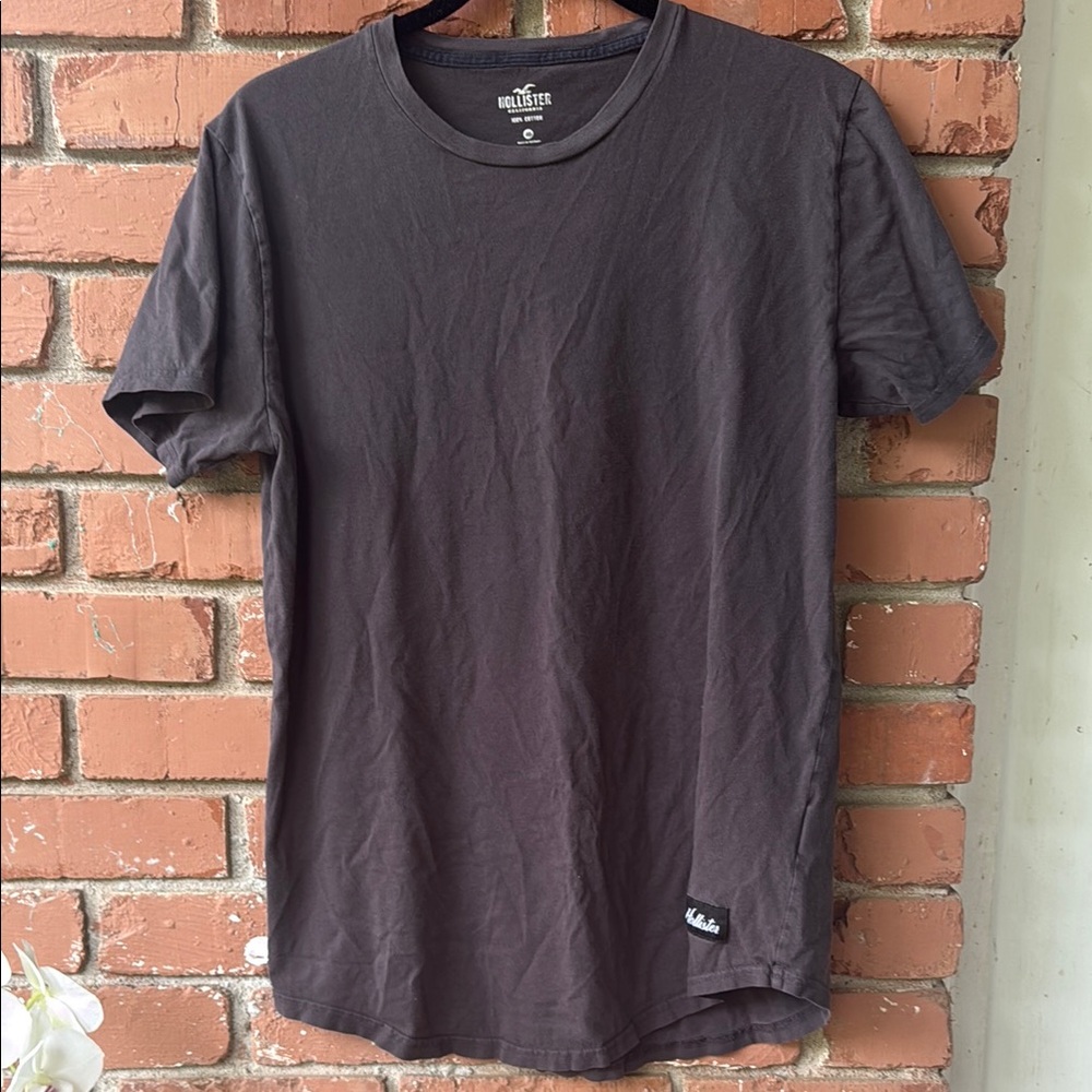 Hollister T